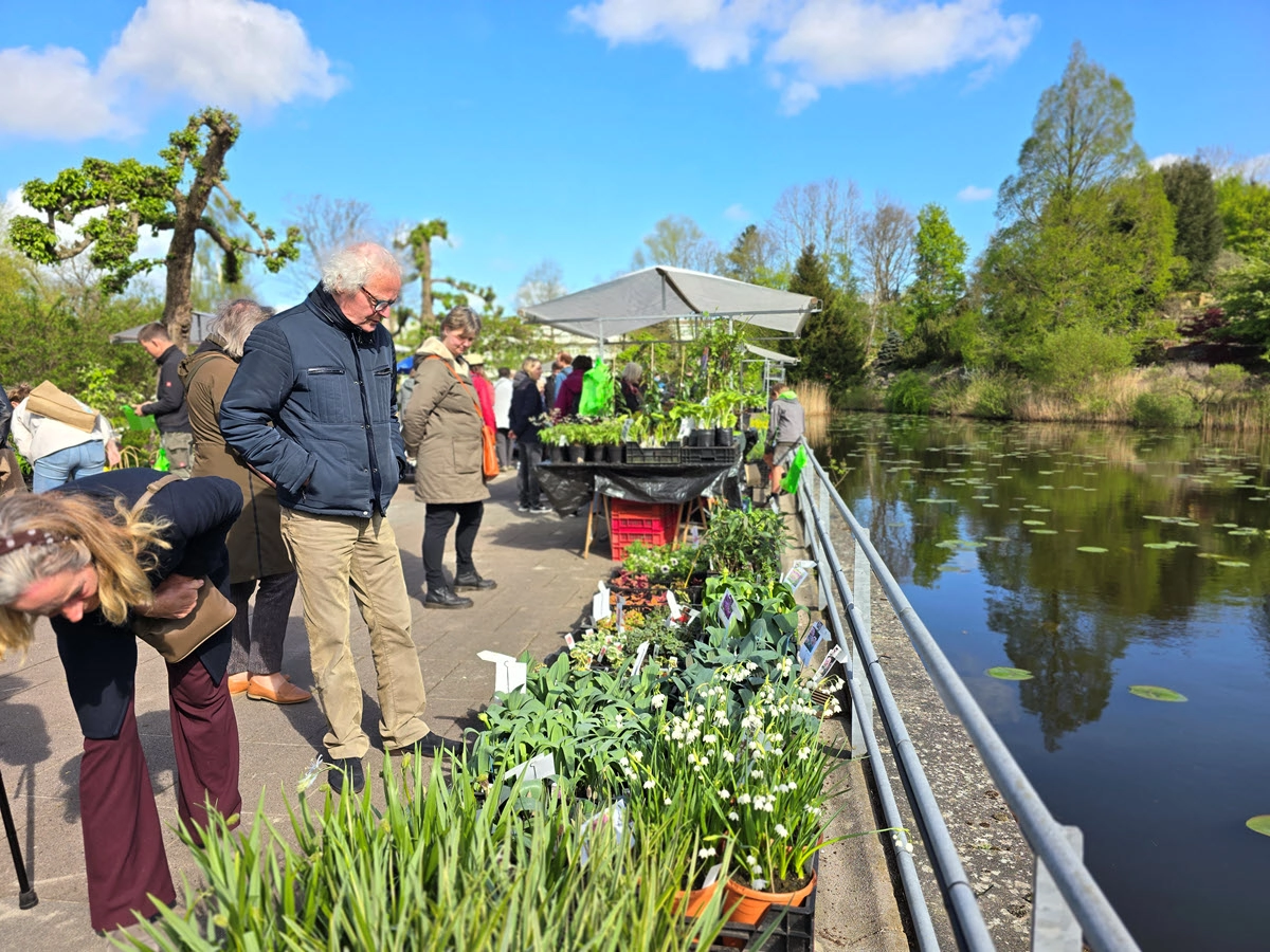 Plantenmarkt 2025 Hortus Botanicus